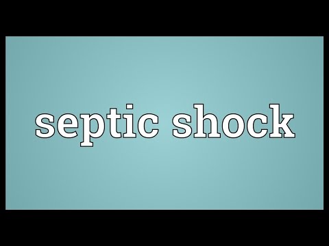 Septic shock Meaning