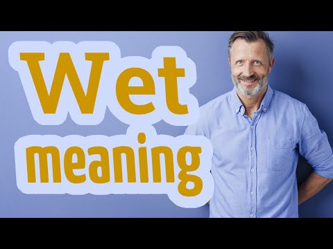 Wet | Meaning of wet