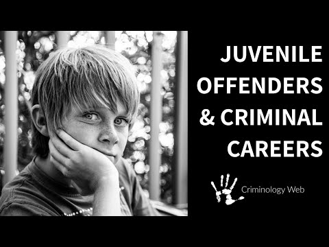 Juvenile Delinquency: Two Types of Criminal Careers