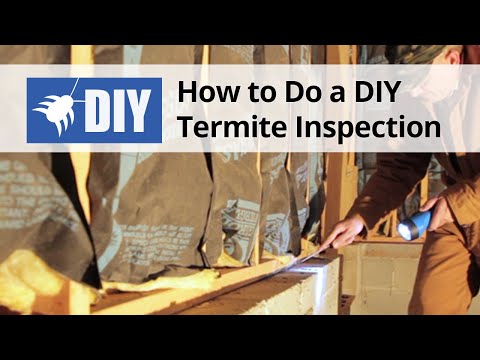 How to Do A Termite Inspection