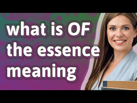 Of the essence | meaning of Of the essence