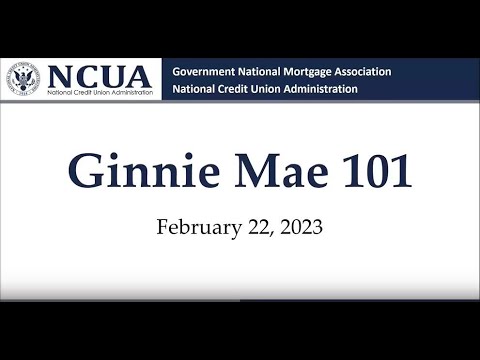 Ginnie Mae 101