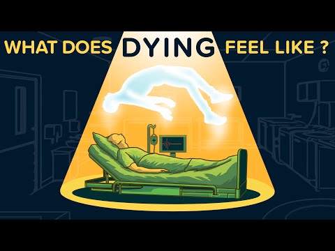 What Does DYING Feel Like?