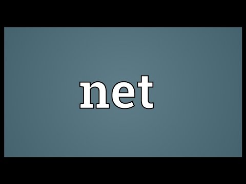 Net Meaning