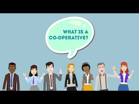 What is a coop