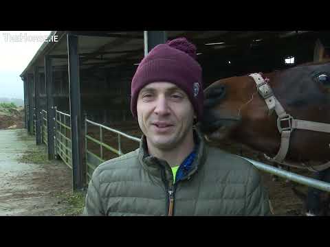 Kevin Doyle- Broodmares