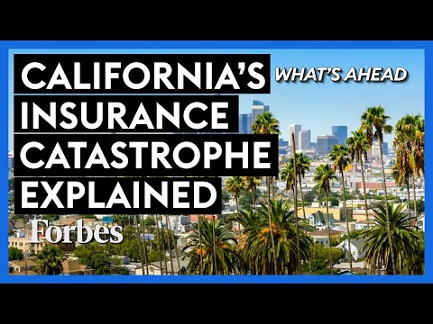 California's Insurance Catastrophe Explained—How Government Caused Another Crisis | What's Ahead