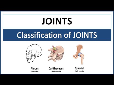 Joints | 3 Types of Joints - Fibrous, Cartilagenous and Synovial Joints | 6 Types of Synovial Joints