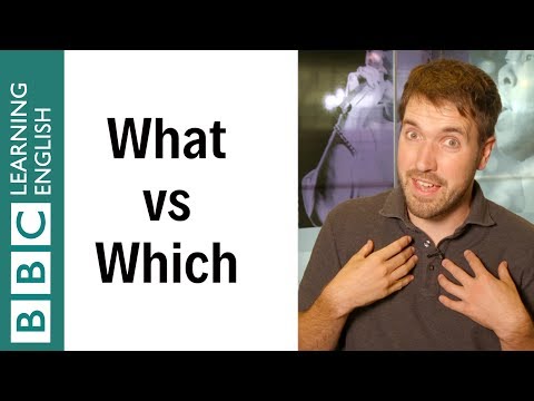 What vs Which - English In A Minute