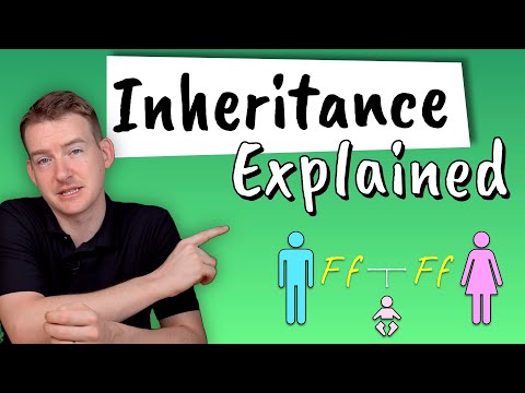 Inheritance Explained || How do we inherit features from our parents?