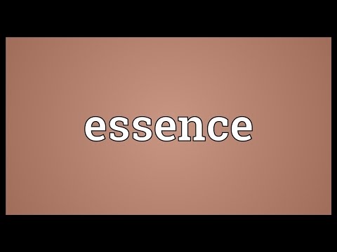 Essence Meaning