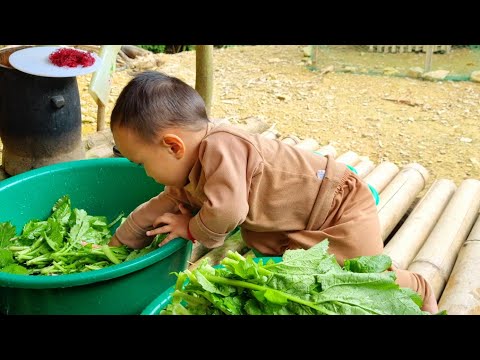 Harvesting the kohlrabi garden go to the merket sell, Electric scissors to light up the kitchen