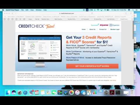 Credit Check Total Review & Warning⚠️ (Scammy Practices) #2