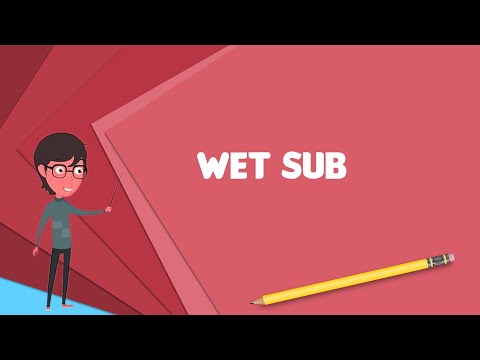 What is Wet sub? Explain Wet sub, Define Wet sub, Meaning of Wet sub