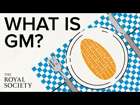 What is genetic modification? | The Royal Society