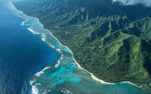 Air Tahiti Nui