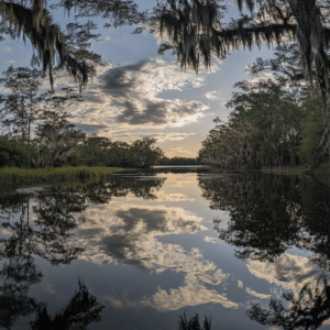 alachua county