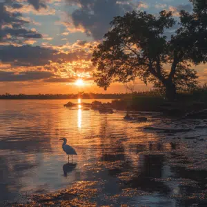 maumee bay state park